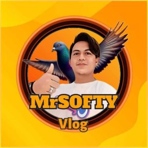 497936982_1445848783452833_7935862761717575946_n