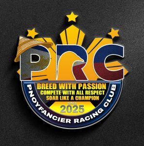 547378455_1976049809838412_781358438075796765_n